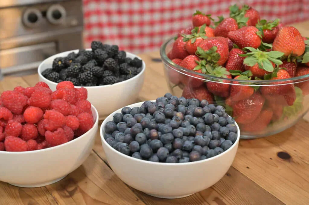 Types of Harvest Right Freeze Dryers: Which One Is Right for You?