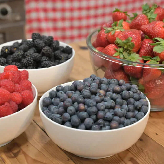Types of Harvest Right Freeze Dryers: Which One Is Right for You?