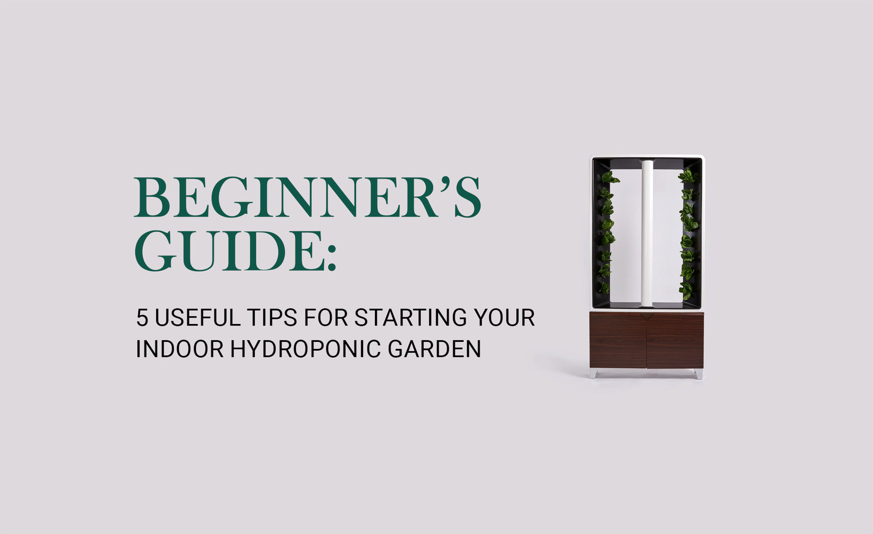 Beginner's Guide: 5 Useful Tips for Starting Your Indoor Hydroponic Garden