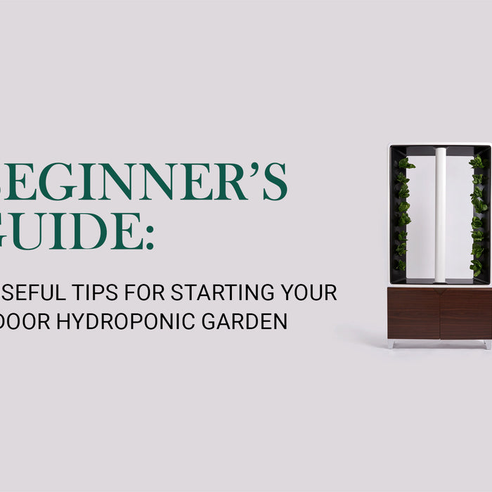 Beginner's Guide: 5 Useful Tips for Starting Your Indoor Hydroponic Garden