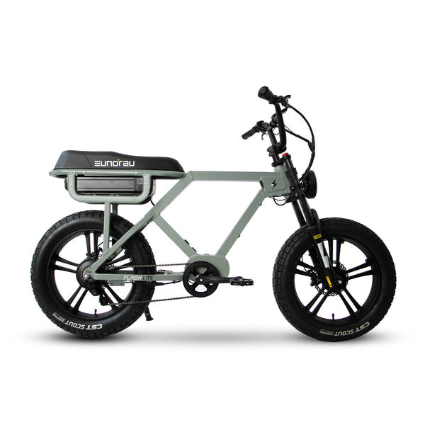 Eunorau Flash Lite 2.0 Electric Bike
