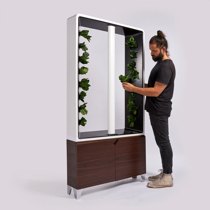 Just Vertical AEVA Indoor Hydroponic Garden