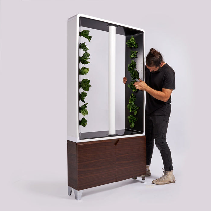 Just Vertical AEVA Indoor Hydroponic Garden