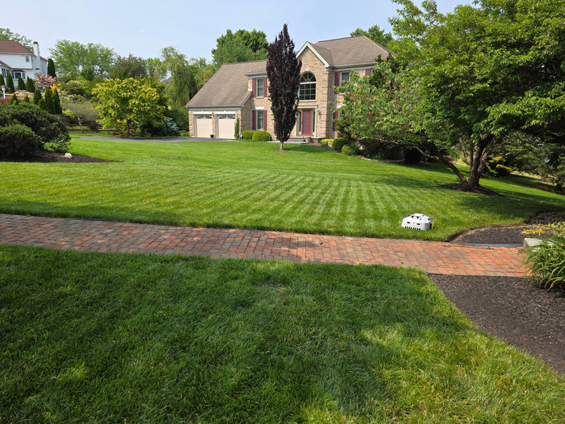 BESTMOW Titan-100 Robotic Lawn Mower