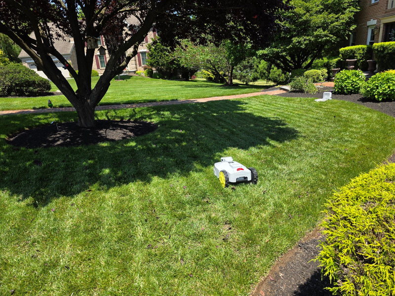BESTMOW Titan-100 Robotic Lawn Mower