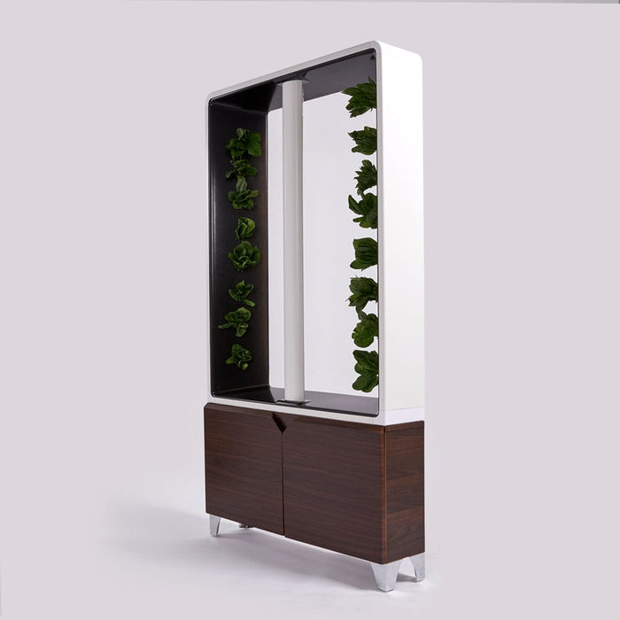 Just Vertical AEVA Indoor Hydroponic Garden