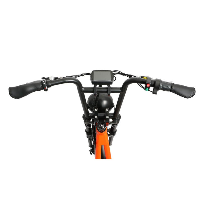 Eunorau Jumbo Electric Bike