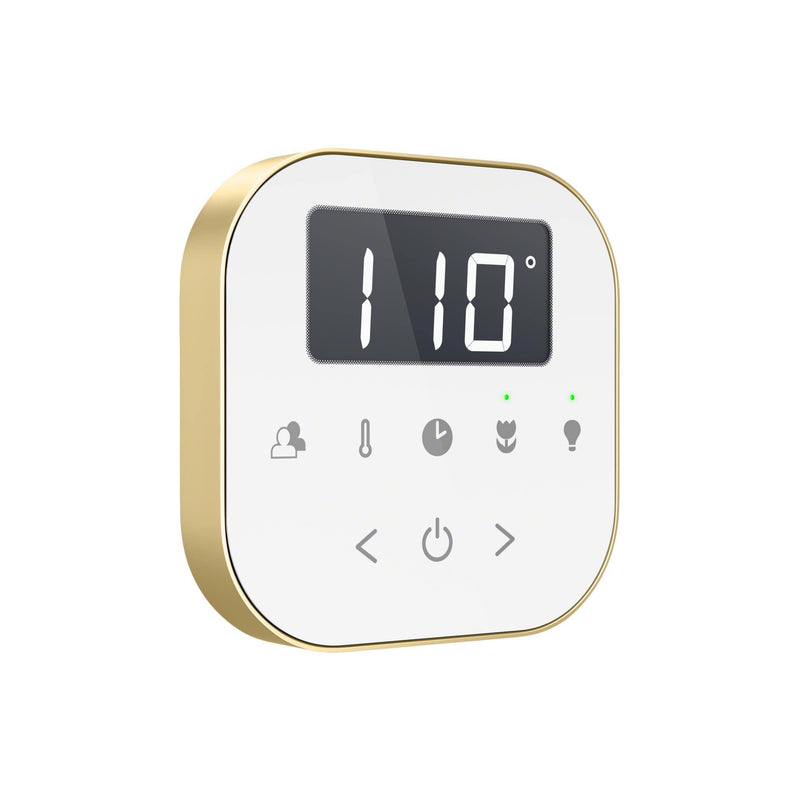 Mr. Steam AirButler Max Linear Steam Shower Control Package with AirTempo Control and Linear SteamHead