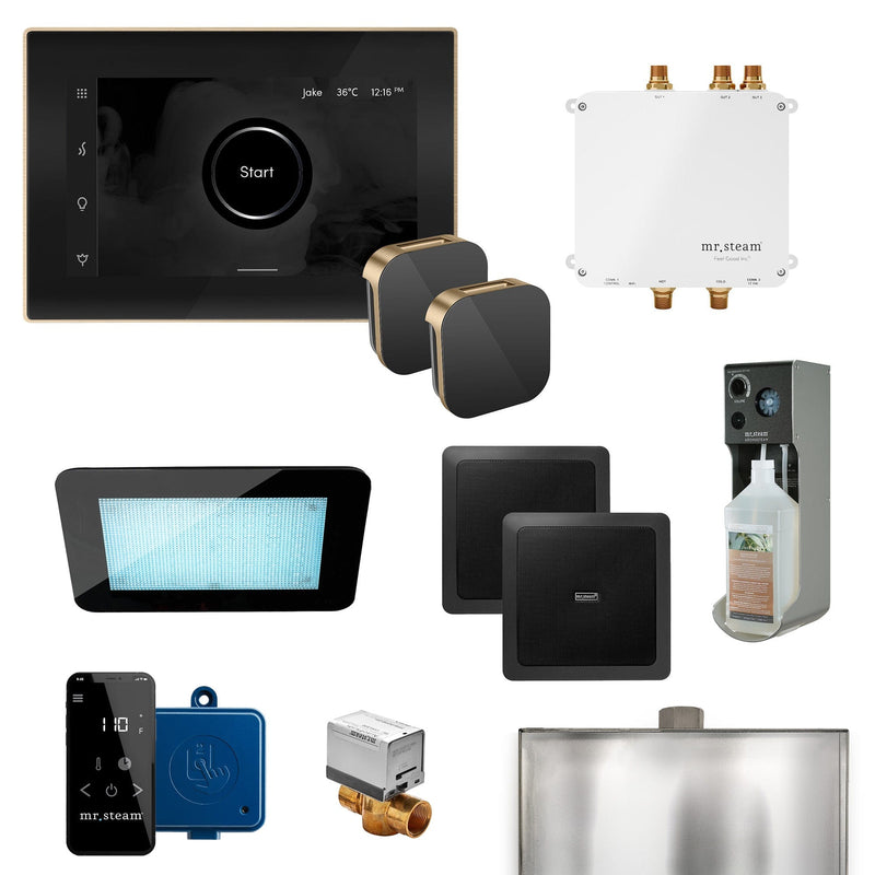 Mr. Steam Bliss Max Programmable Steam Generator Control Kit with iSteamX Control and Aroma Glass Steamhead