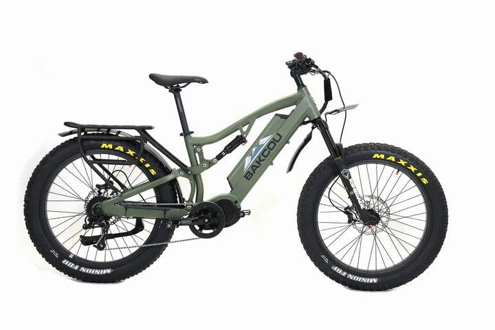 Bakcou Storm Electric Bike