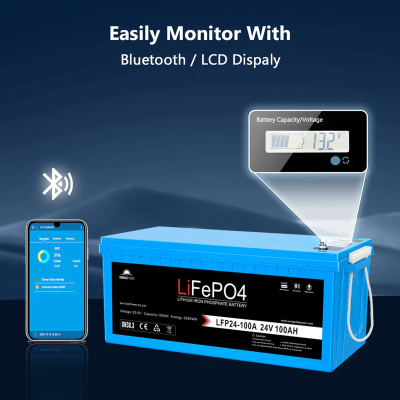 Bluetooth/LCD Display