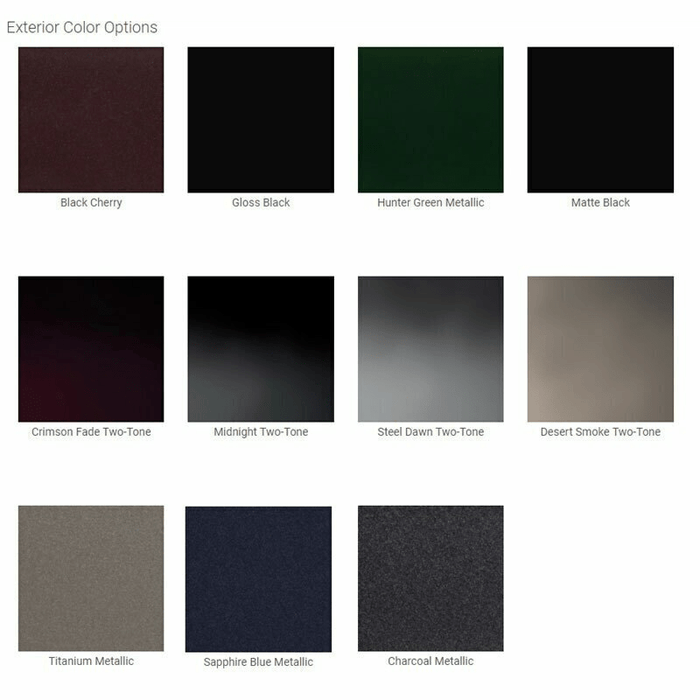 Browning PP49 Gun Safe Color
