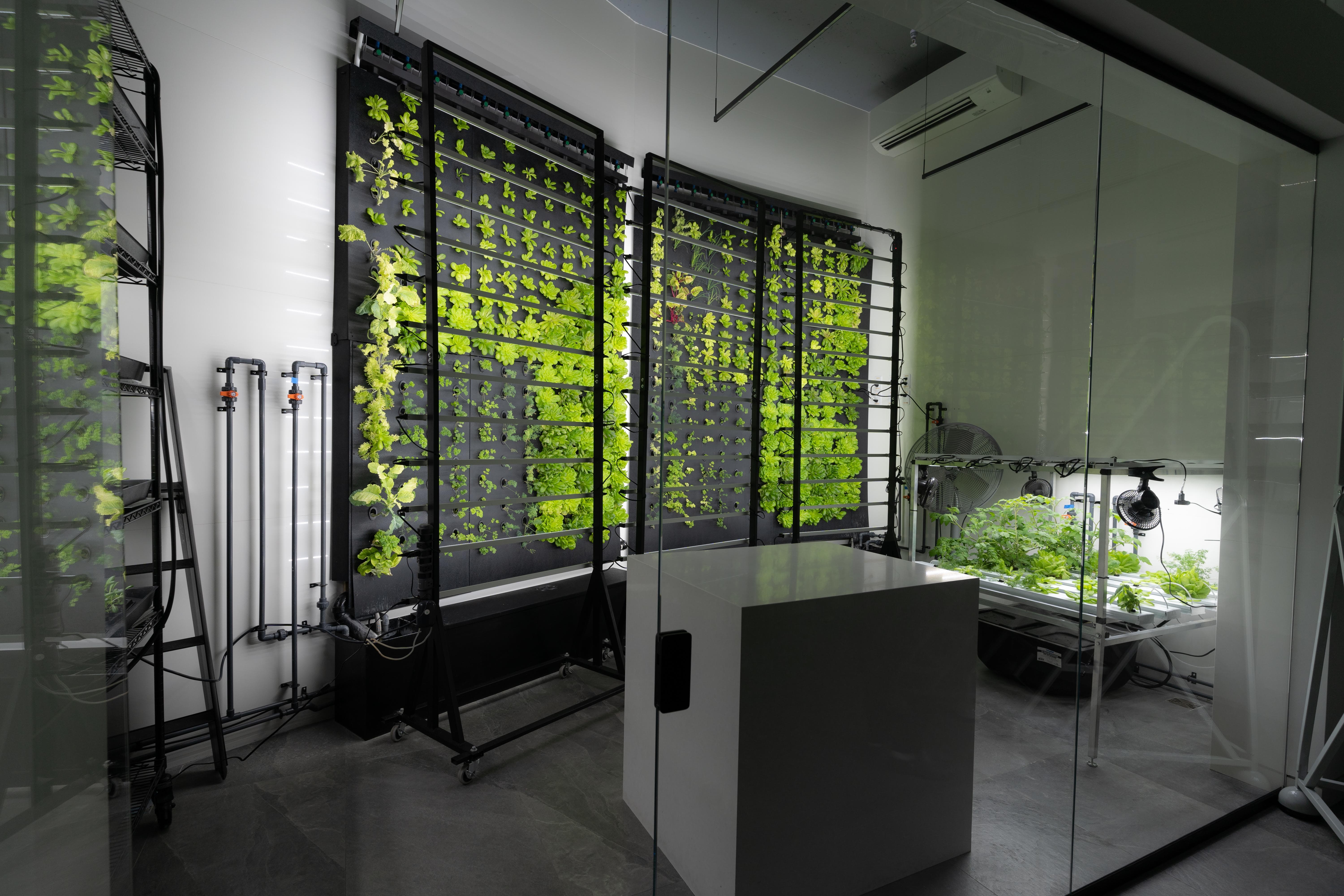 Just Vertical Indoor Grow Wall System — OffGrid Living