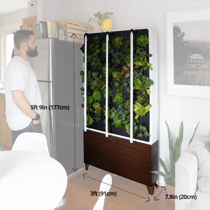 Just Vertical ECO Living Green Wall