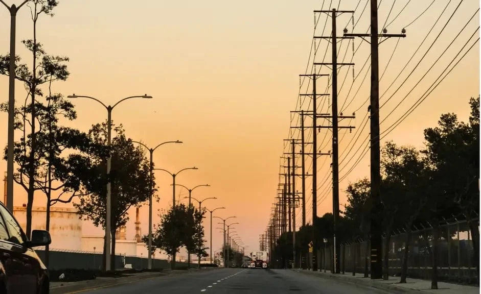 The Risks of Grid Dependence