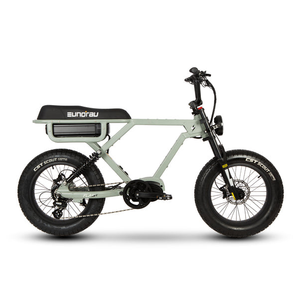 Eunorau Flash 2.0 Electric Bike