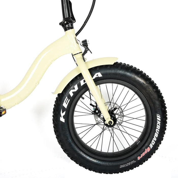 Eunorau E-FAT-STEP Electric Bike