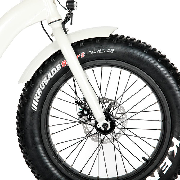 Eunorau E-FAT-STEP Electric Bike