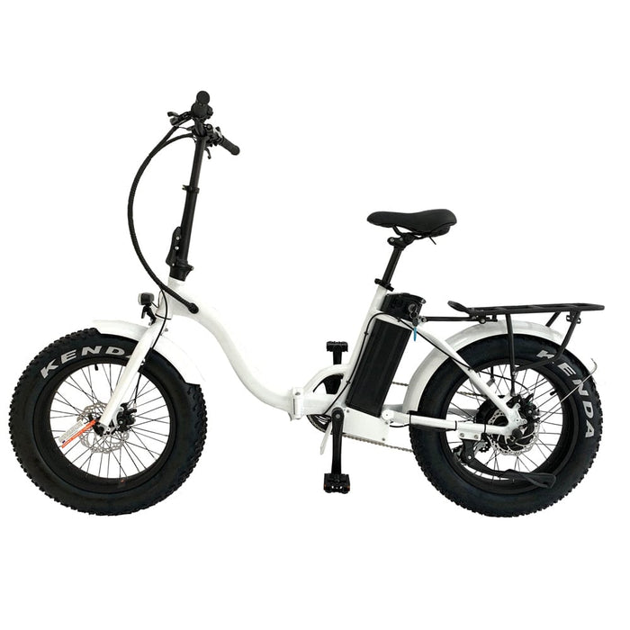 Eunorau E-FAT-STEP Electric Bike