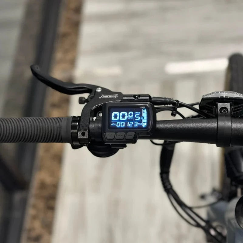 Freego City Model E6 Urban Electric Bike