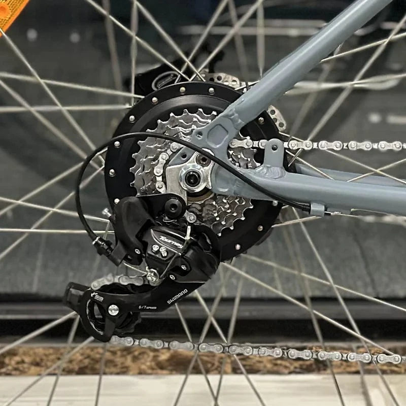 Freego City Model E6 Urban Electric Bike