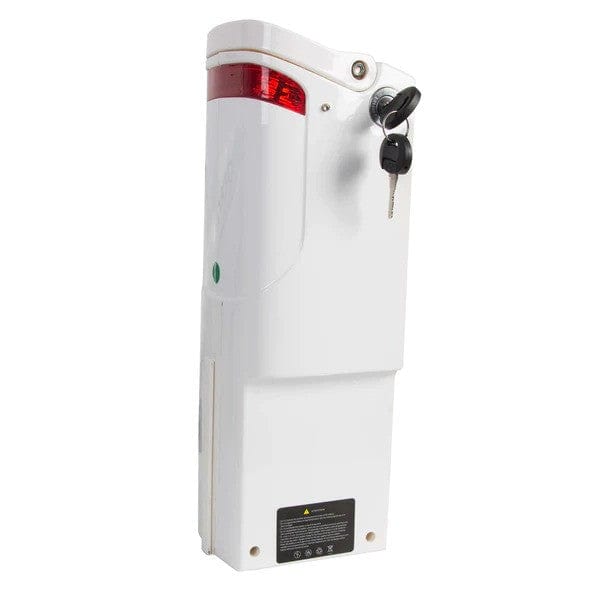 Ecotric Replacement Battery for ECOTRIC Seagull Ebike