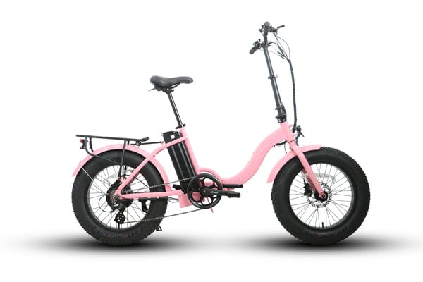 Eunorau E-FAT-STEP Electric Bike