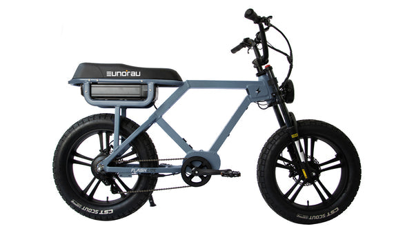 250W Electric Bike