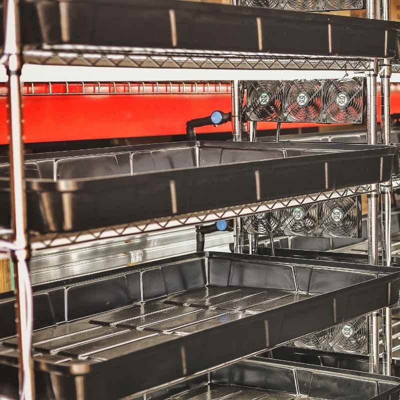 Bootstrap Farmer Grow Rack - Automated Vertical Propagation Rack