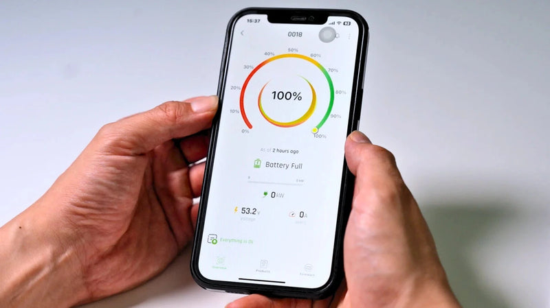 Fortress Power Guardian Battery Monitor