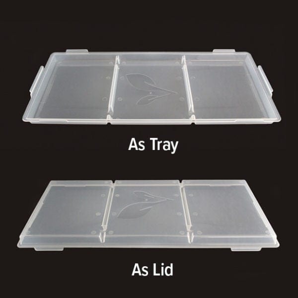 Medium Lid as Tray