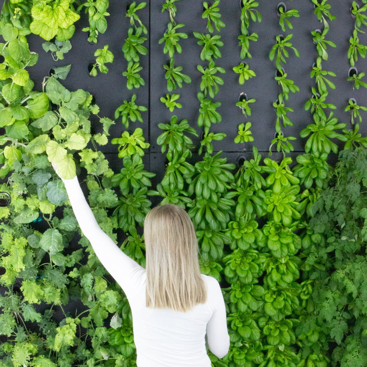 Just Vertical Indoor Grow Wall System — OffGrid Living