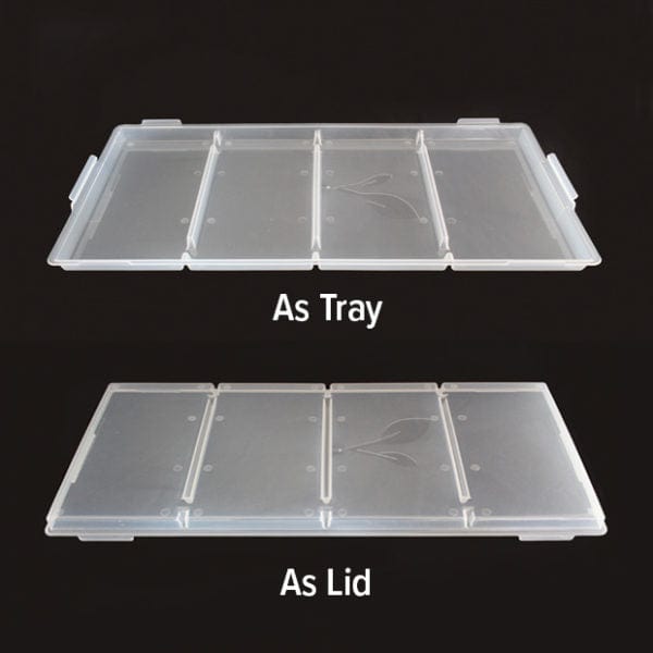 front and back comparison