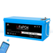 LifePo4 Battery