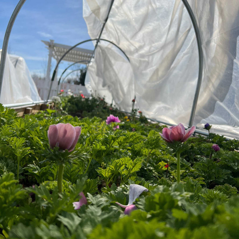 Bootstrap Farmer DIY Portable Low Tunnel Kit