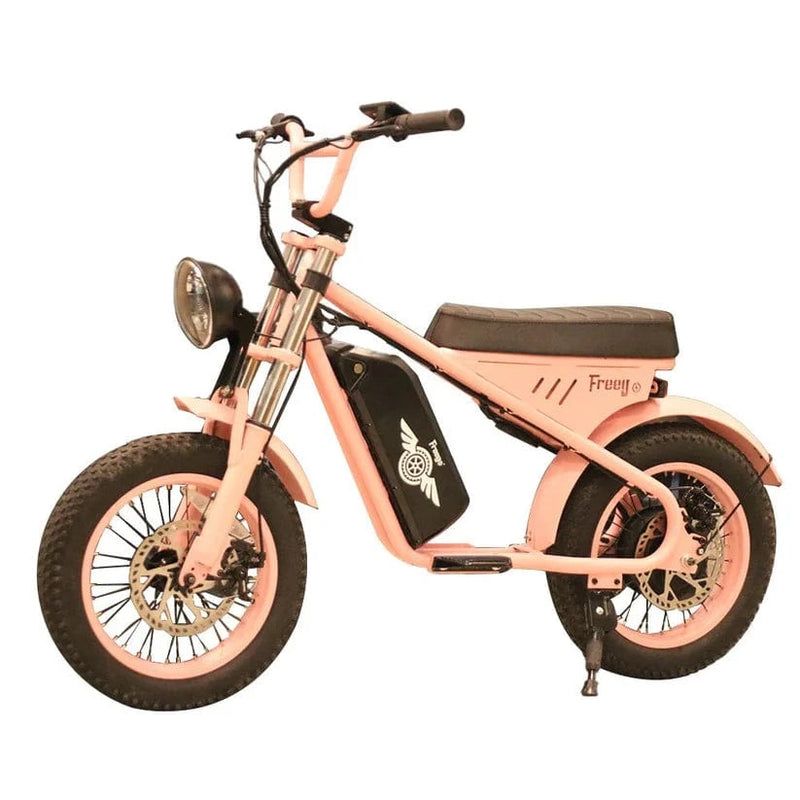 Freego Mini Model M1 Electric Motorcycle for Child