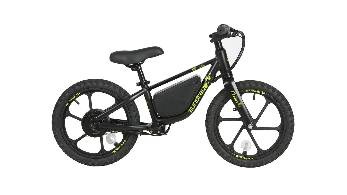 150-200w Electric Bikes