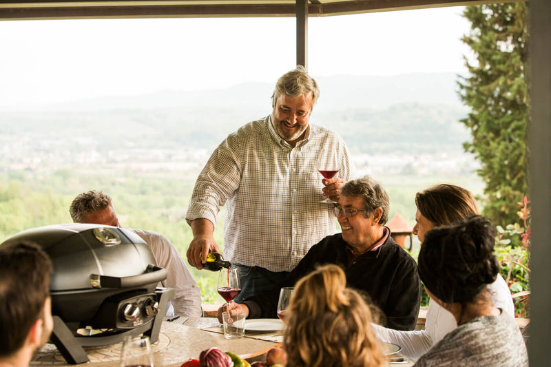 Napoleon TravelQ Pro285 Portable Gas Grill- Black