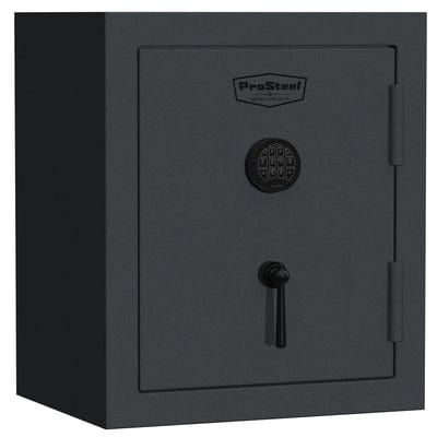 PS9 Home Safe