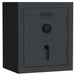 PS9 Home Safe