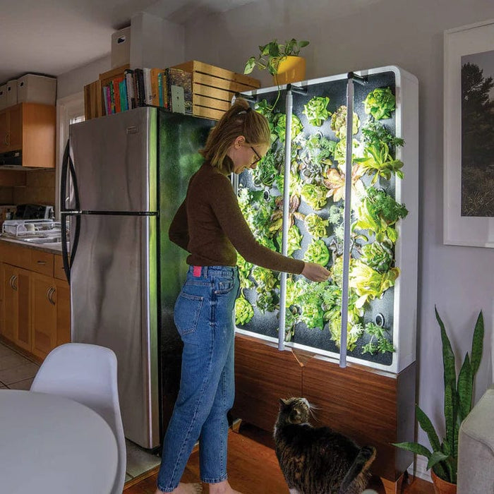 Just Vertical ECO Living Green Wall