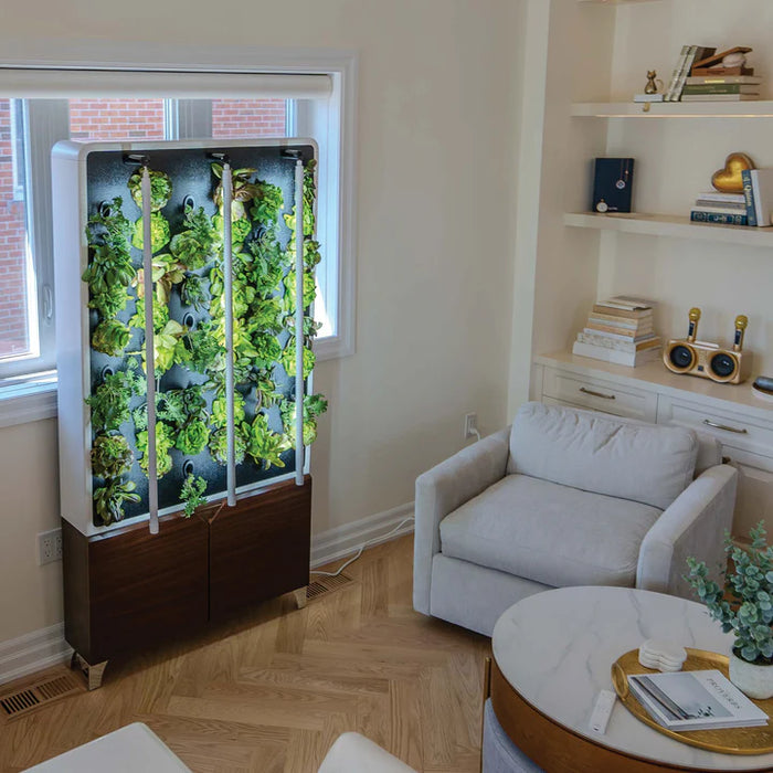 Just Vertical ECO Living Green Wall