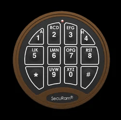 RW49 GS electric lock
