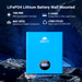 SunGold Power Wall Mounted Lithium Battery Details