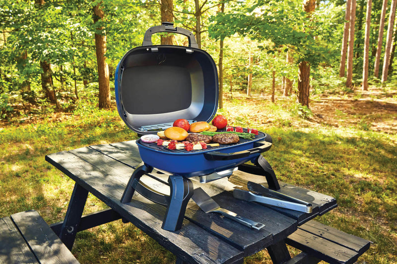 Napoleon TravelQ 240 Portable Gas Grill/Black- Propane