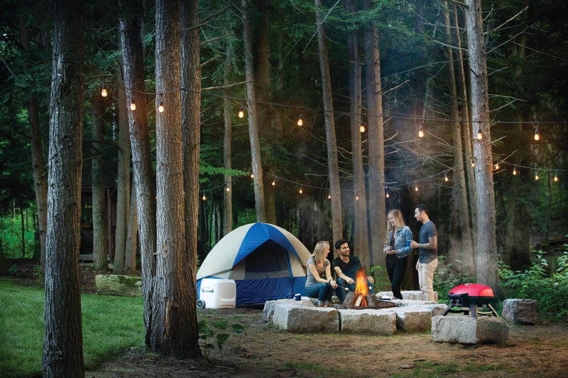 Napoleon TravelQ 285 Portable Propane Gas Grill with Griddle- Red