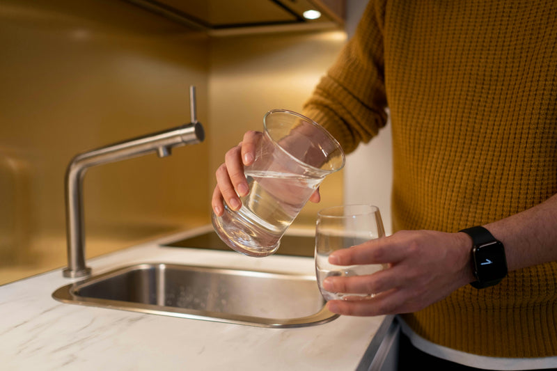 Natural Action Sink Revitalizer with Filtration