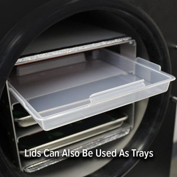 Lid can be used as trays