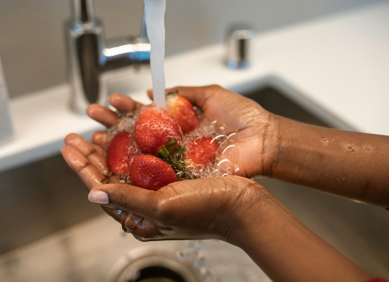 Natural Action Sink Revitalizer for RO Systems