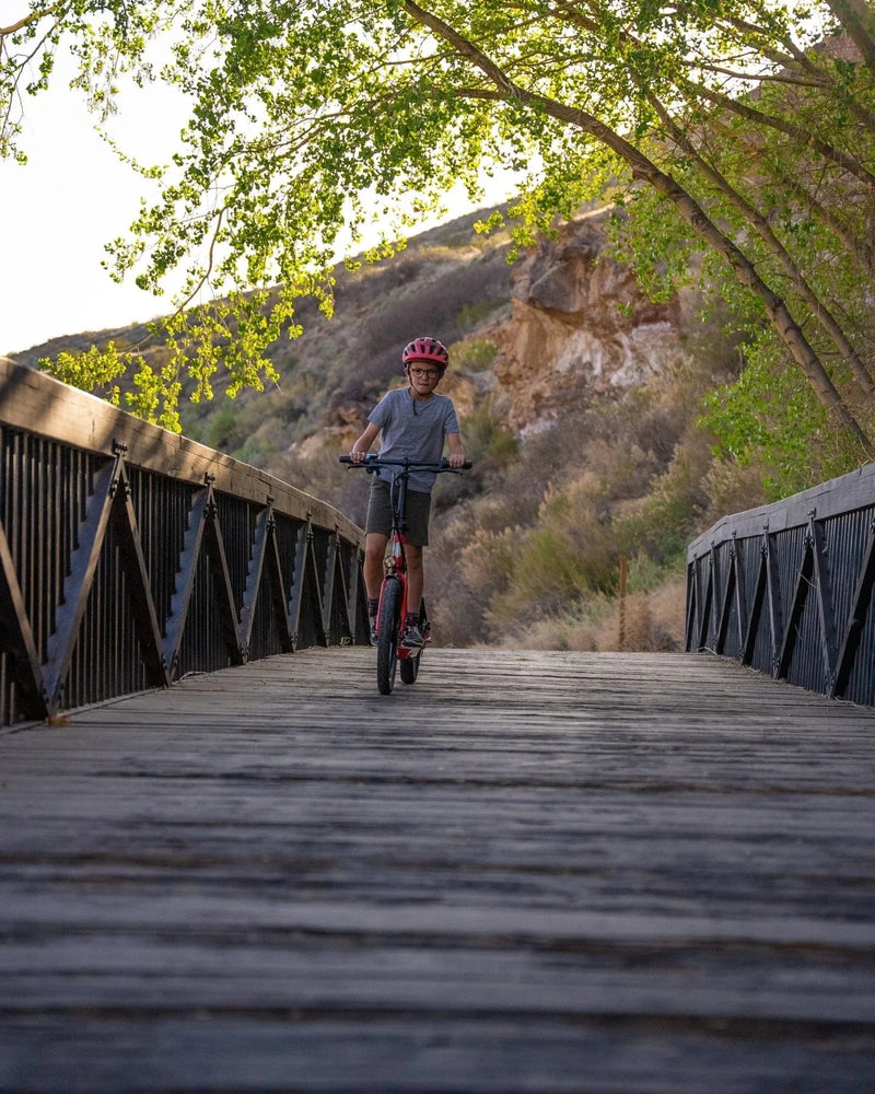 Bakcou Badger Electric Scooter
